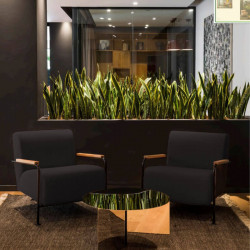Fauteuil design d'extérieur Colubi de Viccarbe de couleur blanche avec accoudoirs en bois dans un hall| Aiure