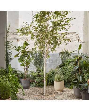 Hydro-jardinières Bardi dans un jardin  | Aiure