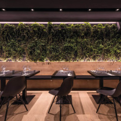 Lámpara LED Lark 111 instalada en focos empotrables de techo de Arkoslight | Aiure