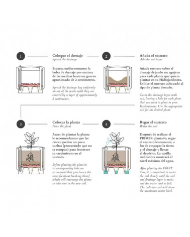 Ashi square Water planters operation | Aiure