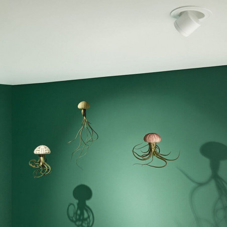 Pop Up 56º d'Arkoslight environnement photo avec fond vert | Aiure