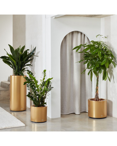 Hidrojardinera Kava en un patio interior | Aiure