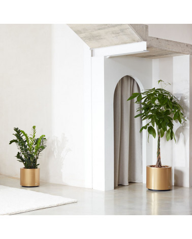 Hidrojardinera Kava en una casa | Aiure