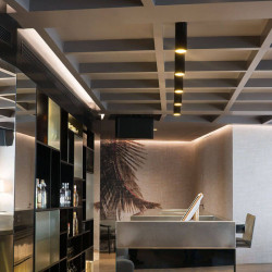 Scope Surface 35 black on ceiling Arkoslight | Aiure