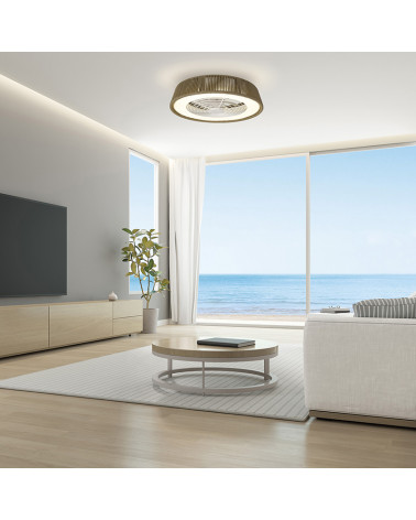 Ventilateur de plafond silencieux Polinesia Nautica Mini dans un salon | AiureDeco