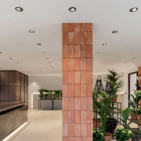 Downlight LED Pointer empotrado en el techo de una tienda · Arkoslight | Aiure